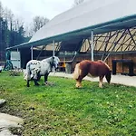 Nyaraló I Salici