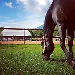 I Salici Nyaraló *