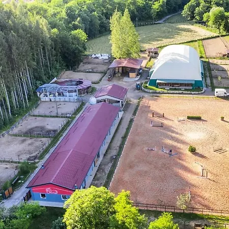 Ferienhaus I Salici Viggiù